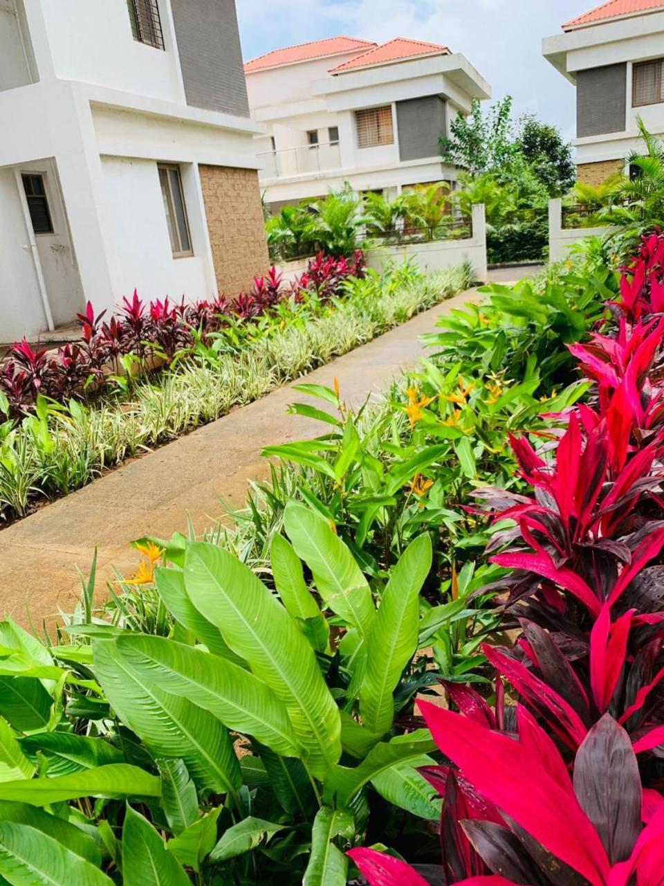 Mizzle Exotica Lonavalaアパートメント エクステリア 写真
